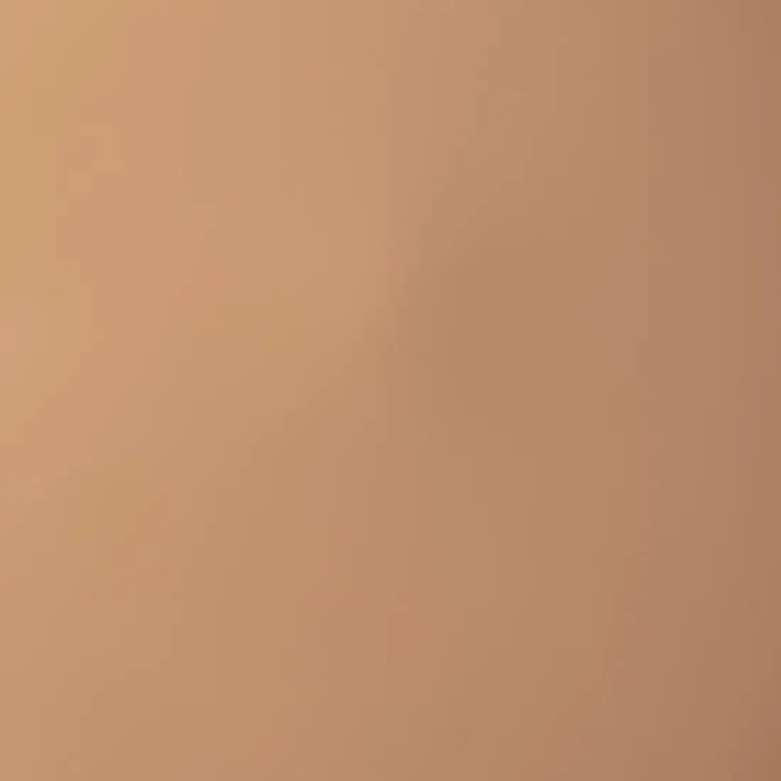 Palladio Skin Tint with Aloe, Niacinamide and Hyaluronic Acid, Sheer to Medium Coverage, Glowy Finish, Brightening and Blurring Lightweight Foundation Makeup